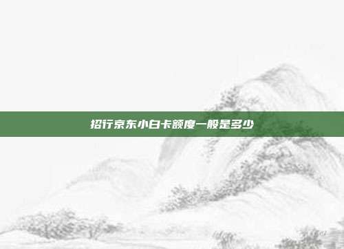 招行京东小白卡额度一般是多少