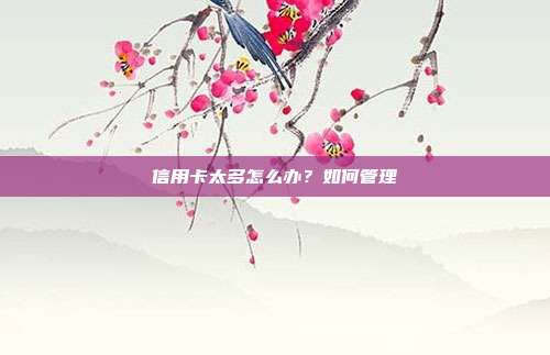 信用卡太多怎么办？如何管理