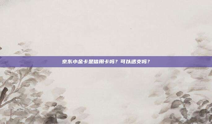 京东小金卡是信用卡吗？可以透支吗？