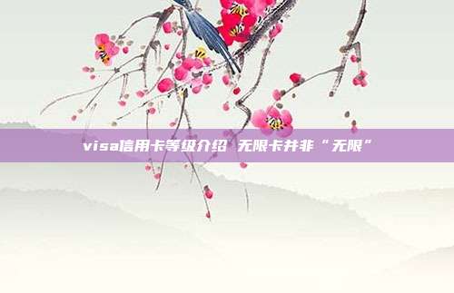 visa信用卡等级介绍 无限卡并非“无限”