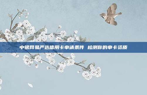 中银网易严选信用卡申请条件 检测你的申卡资质