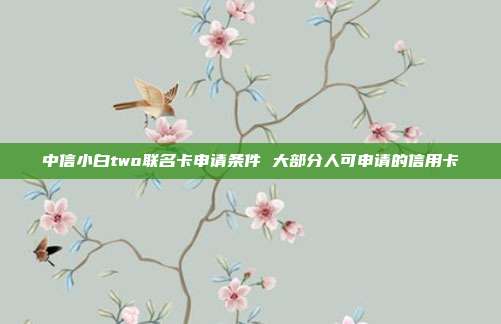 中信小白two联名卡申请条件 大部分人可申请的信用卡