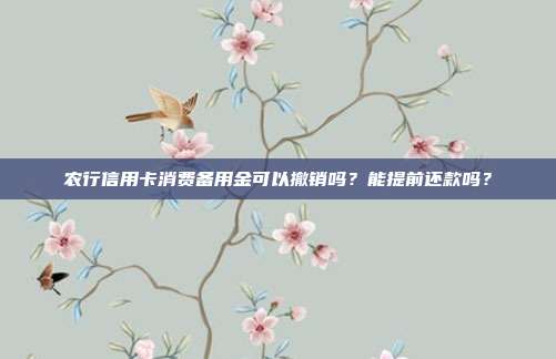 农行信用卡消费备用金可以撤销吗?能提前还款吗?