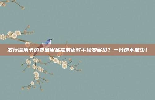 农行信用卡消费备用金提前还款手续费多少?一分都不能少!