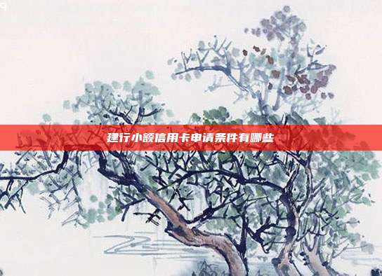 建行小额信用卡申请条件有哪些