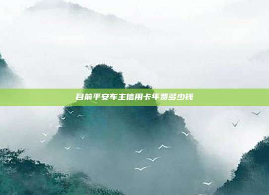 目前平安车主信用卡年费多少钱