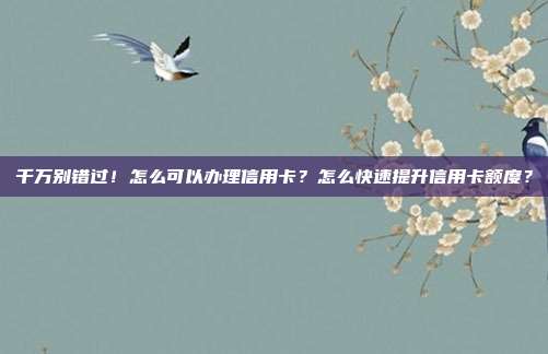 千万别错过!怎么可以办理信用卡?怎么快速提升信用卡额度?