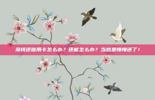 没钱还信用卡怎么办?还能怎么办?当然是慢慢还了!