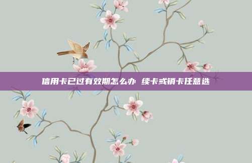 信用卡已过有效期怎么办 续卡或销卡任意选