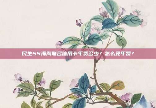 民生55海淘联名信用卡年费多少?怎么免年费?