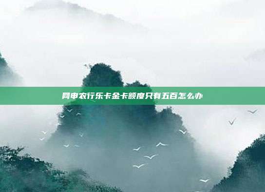网申农行乐卡金卡额度只有五百怎么办