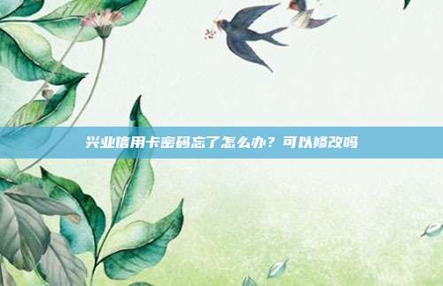 兴业信用卡密码忘了怎么办?可以修改吗