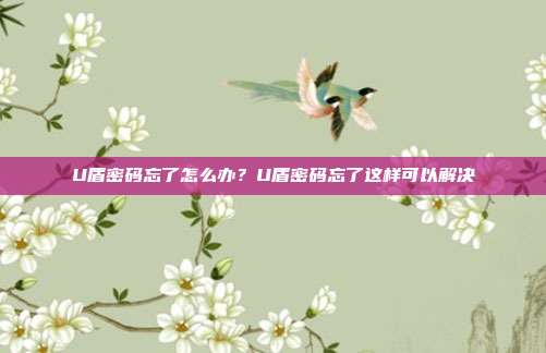 U盾密码忘了怎么办?U盾密码忘了这样可以解决