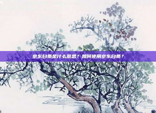 京东白条是什么意思?如何使用京东白条?
