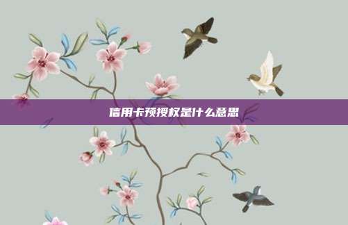 信用卡预授权是什么意思