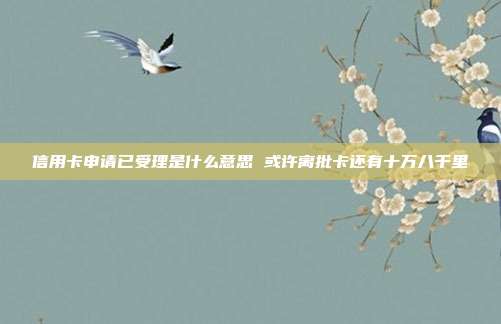 信用卡申请已受理是什么意思 或许离批卡还有十万八千里