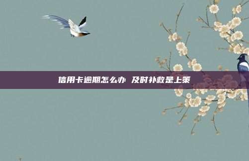 信用卡逾期怎么办 及时补救是上策