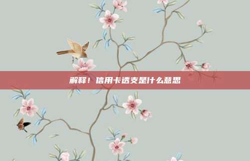 解释!信用卡透支是什么意思