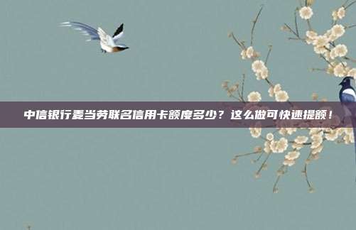 中信银行麦当劳联名信用卡额度多少?这么做可快速提额!