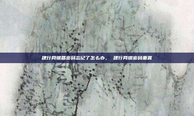 建行网银盾密码忘记了怎么办, 建行网银密码重置