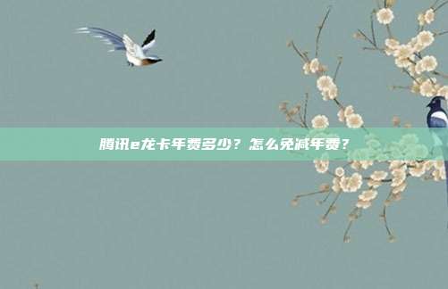 腾讯e龙卡年费多少?怎么免减年费?