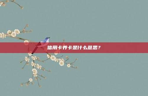信用卡养卡是什么意思？