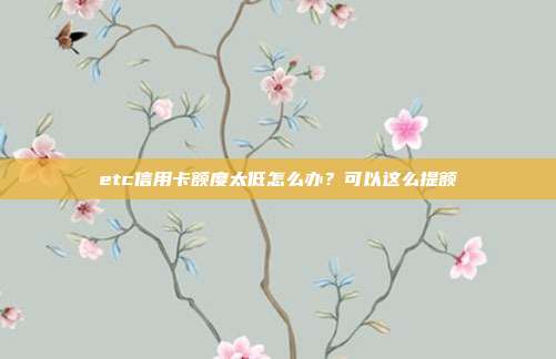 etc信用卡额度太低怎么办?可以这么提额