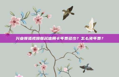 兴业搜狐视频联名信用卡年费多少?怎么免年费?