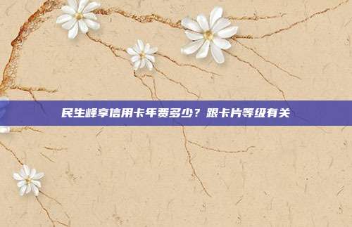 民生峰享信用卡年费多少?跟卡片等级有关