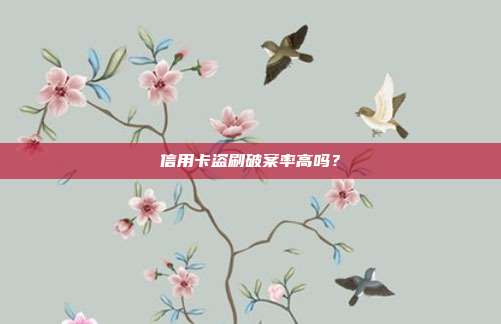 信用卡盗刷破案率高吗?
