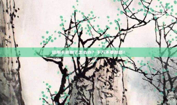 信用卡逾期了怎么办?千万不要跑路!