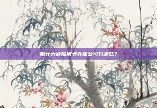 银行大额信用卡办理公司有哪些?