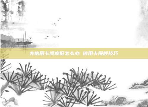 办信用卡额度低怎么办 信用卡提额技巧