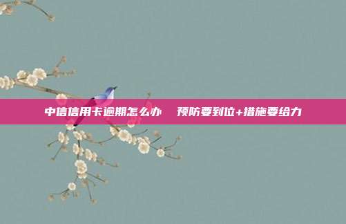 中信信用卡逾期怎么办 预防要到位+措施要给力