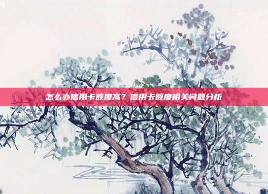 怎么办信用卡额度高?信用卡额度相关问题分析