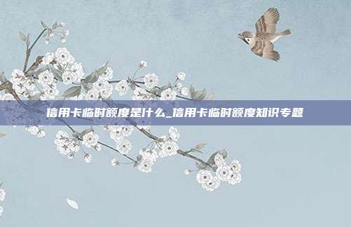 信用卡临时额度是什么_信用卡临时额度知识专题