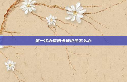 第一次办信用卡被拒绝怎么办