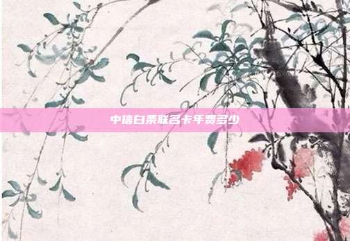 中信白条联名卡年费多少