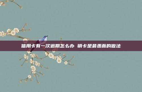 信用卡有一次逾期怎么办 销卡是最愚蠢的做法
