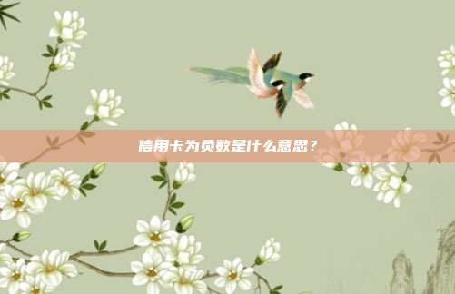 信用卡为负数是什么意思?