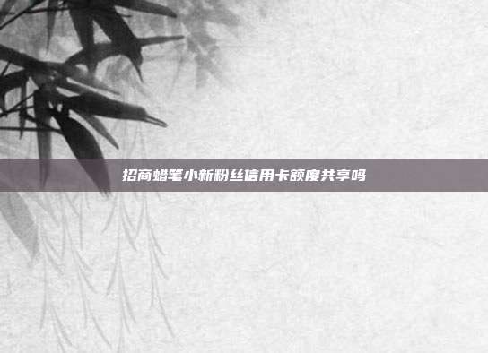 招商蜡笔小新粉丝信用卡额度共享吗