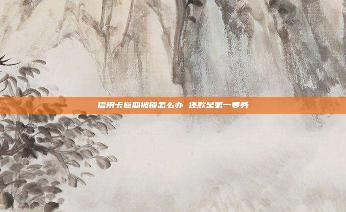 信用卡逾期被锁怎么办 还款是第一要务