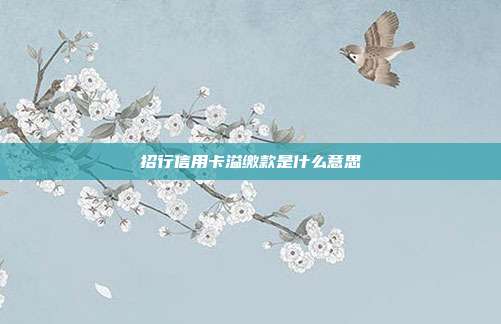 招行信用卡溢缴款是什么意思
