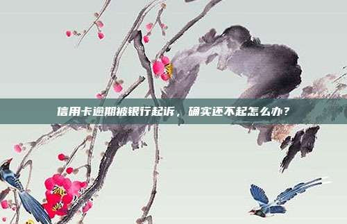 信用卡逾期被银行起诉,确实还不起怎么办?