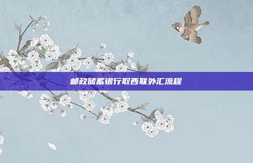 邮政储蓄银行取西联外汇流程