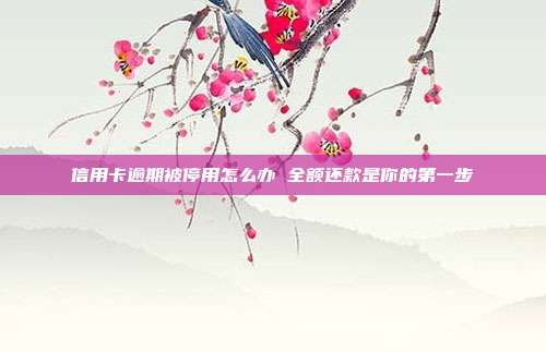 信用卡逾期被停用怎么办 全额还款是你的第一步