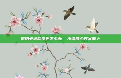 信用卡逾期没还怎么办 小编良心方案奉上