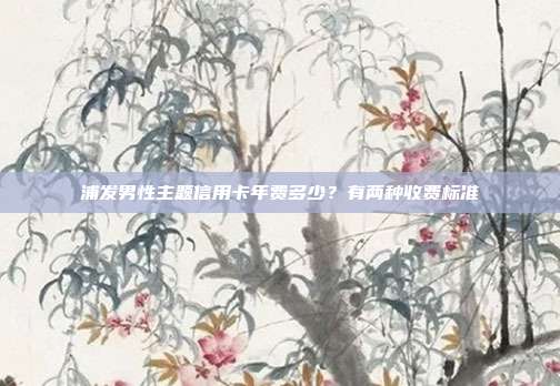 浦发男性主题信用卡年费多少?有两种收费标准