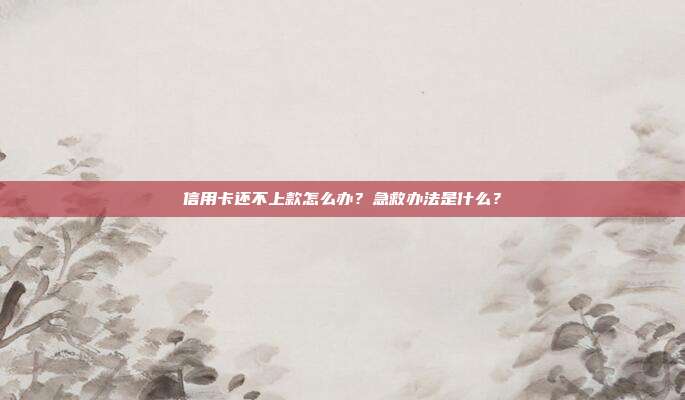 信用卡还不上款怎么办?急救办法是什么?