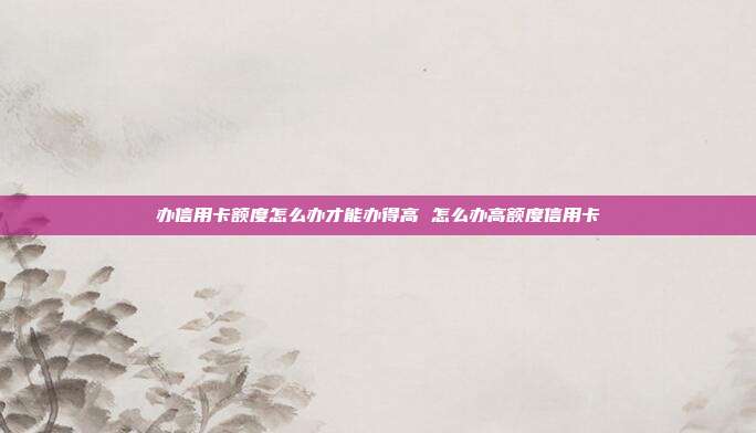 办信用卡额度怎么办才能办得高 怎么办高额度信用卡